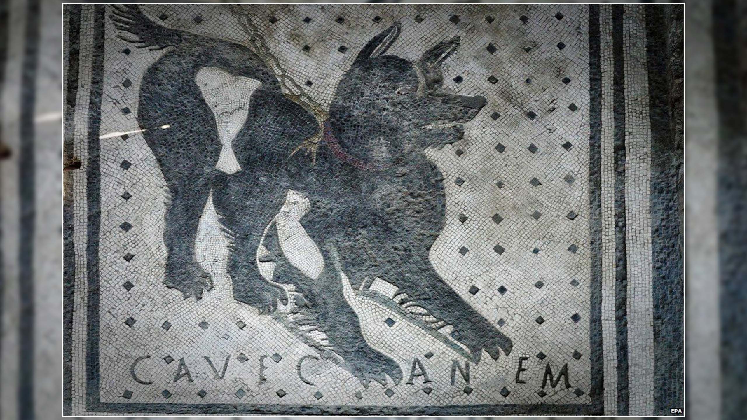 Dog mosaic decoration in Pompeii